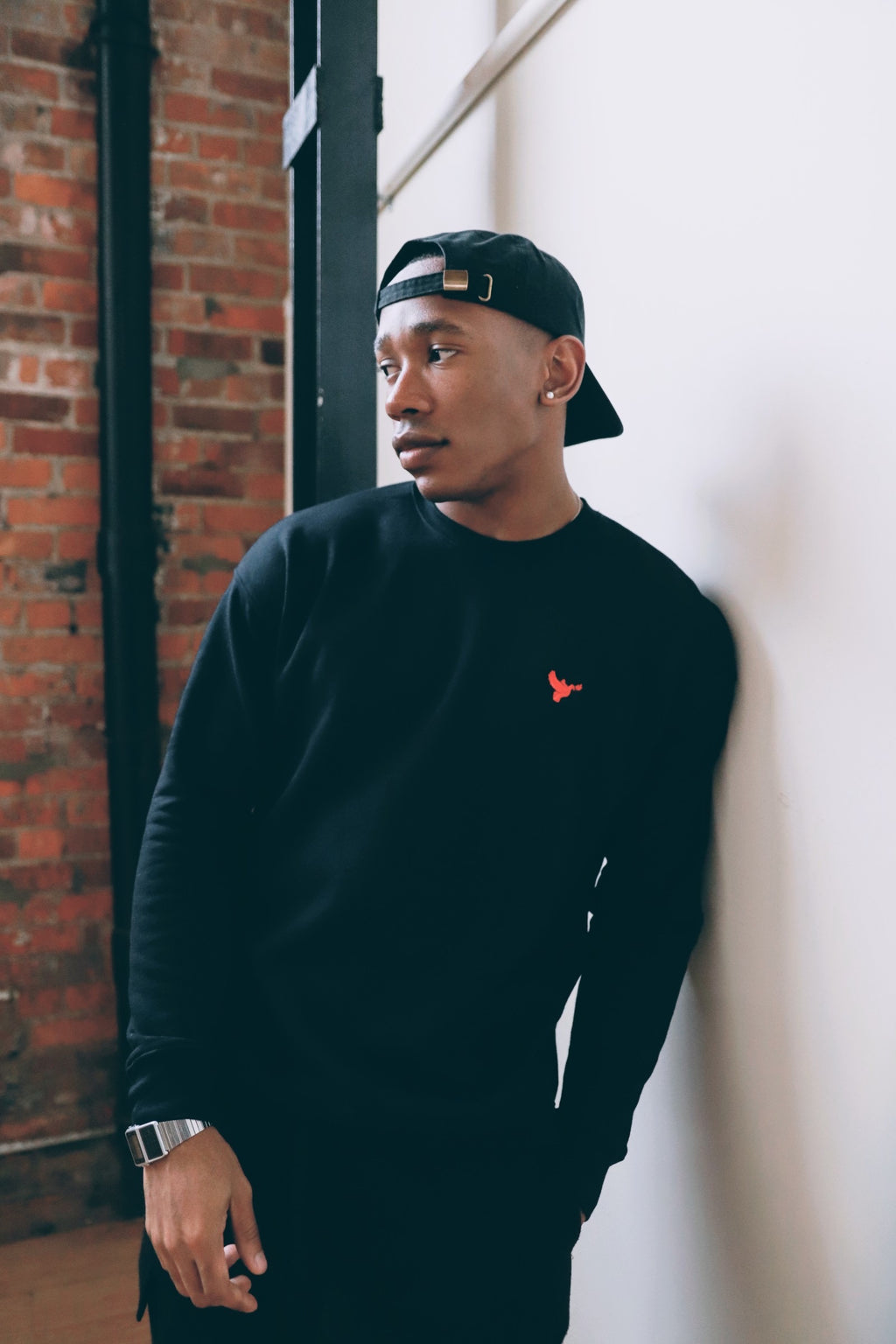 Dove Logo Sweatshirt