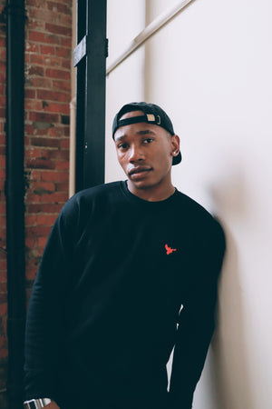 Dove Logo Sweatshirt